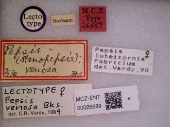 Media type: image;   Entomology 26689 Aspect: labels